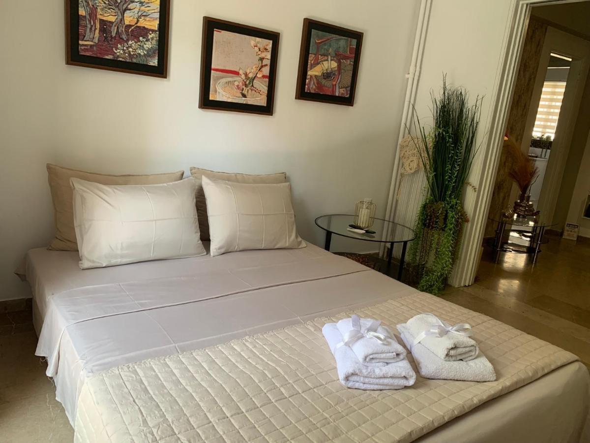 Acropolis Hill Apartment 雅典 外观 照片